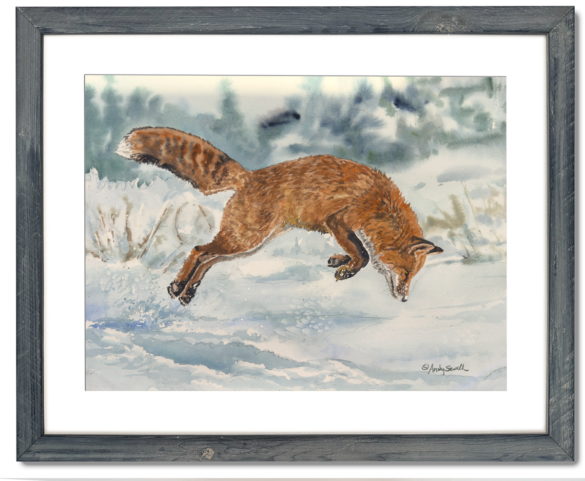 "Foxy Airtime" 13"x18" Original watercolor or signed giclee reprod./print