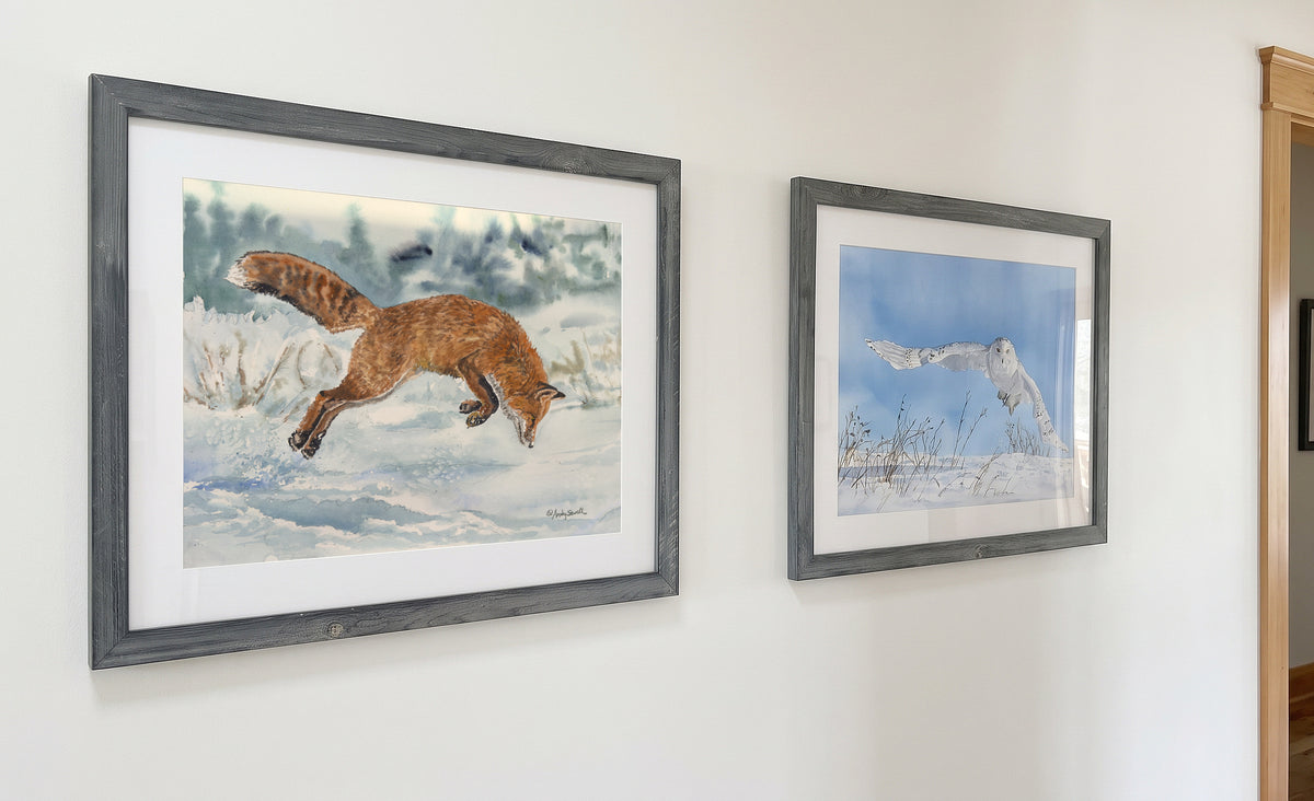 "Foxy Airtime" 13"x18" Original watercolor or signed giclee reprod./print