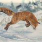 "Foxy Airtime" 13"x18" Original watercolor or signed giclee reprod./print