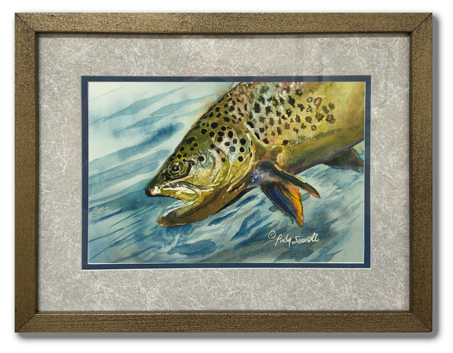 "Brown Trout Sparkle" - 8"x12" original watercolor