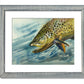 "Brown Trout Sparkle" - 8"x12" original watercolor