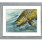 "Brown Trout Sparkle" - 8"x12" original watercolor