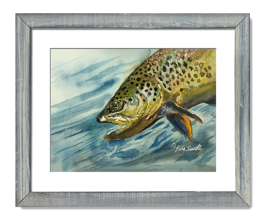 "Brown Trout Sparkle" - 8"x12" original watercolor