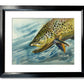 "Brown Trout Sparkle" - 8"x12" original watercolor