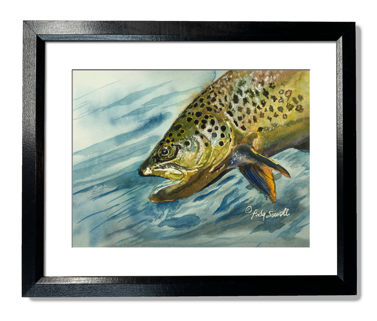 "Brown Trout Sparkle" - 8"x12" original watercolor