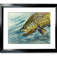 "Brown Trout Sparkle" - 8"x12" original watercolor