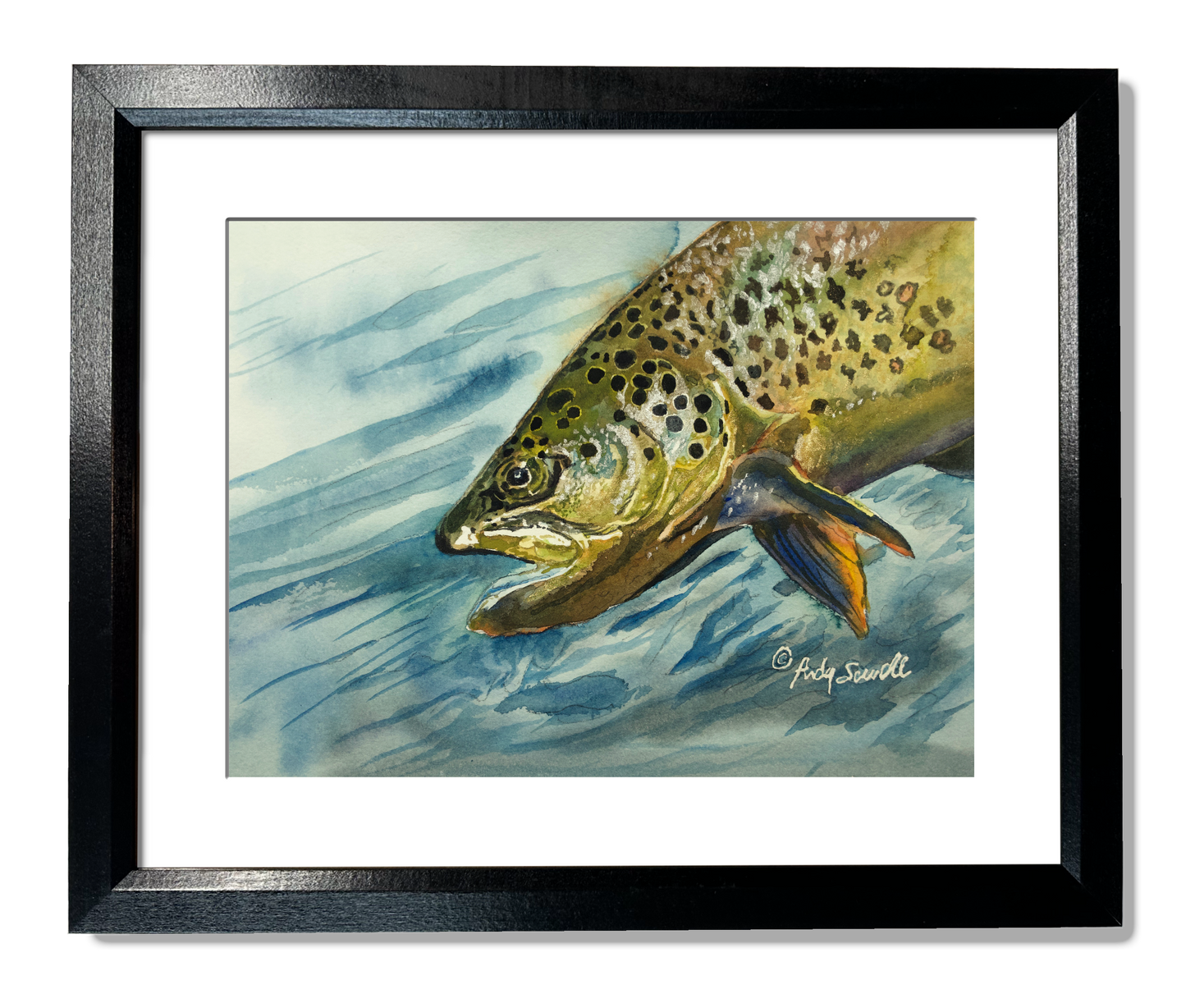 "Brown Trout Sparkle" - 8"x12" original watercolor