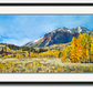 "Gold in the Boulders" - a 52"x24" signed edition giclee art print  from an original watercolor