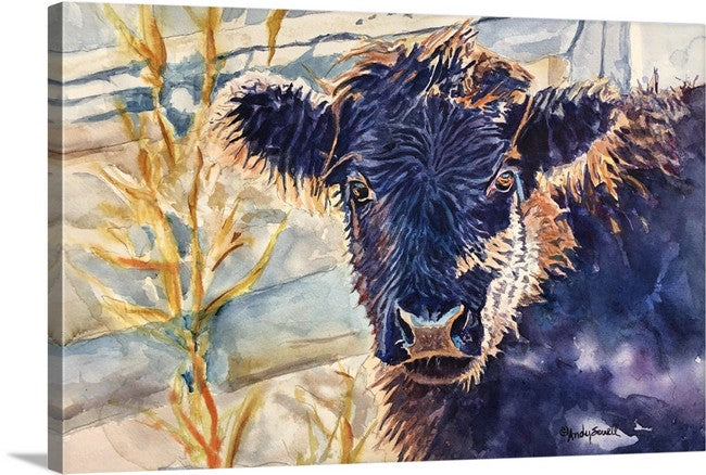 "Harry the Highlander" 12x16 Original watercolor or signed edition Giclee Reprod. of my steer Dudley.
