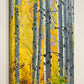 "October Gold" - 38"x60" Canvas Giclée art print of oil painting of Yellow Aspen trees in the fall