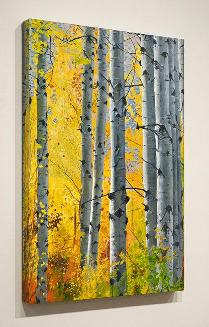 "October Gold" - 38"x60" Canvas Giclée art print of oil painting of Yellow Aspen trees in the fall