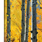 "October Gold" - Canvas Giclée art print of oil painting of Yellow Aspen trees in the fall