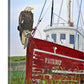 “The Patriot” - 48x30" Original oil on Canvas, or signed Giclée Reprod.