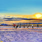 "Palouse Country Pond Hockey” - Giclée art prints from oil painting.