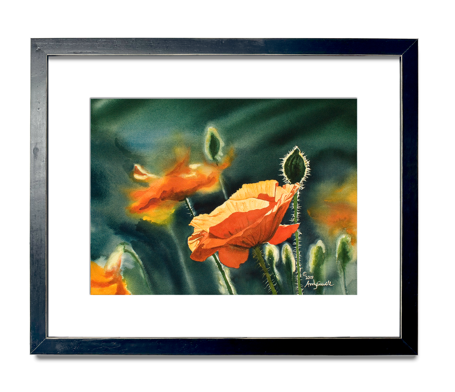 "Poppy Evening" Orange Poppy wall Art Print - A ltd. ed. s/n Giclee art print from a watercolor of poppies in the sun