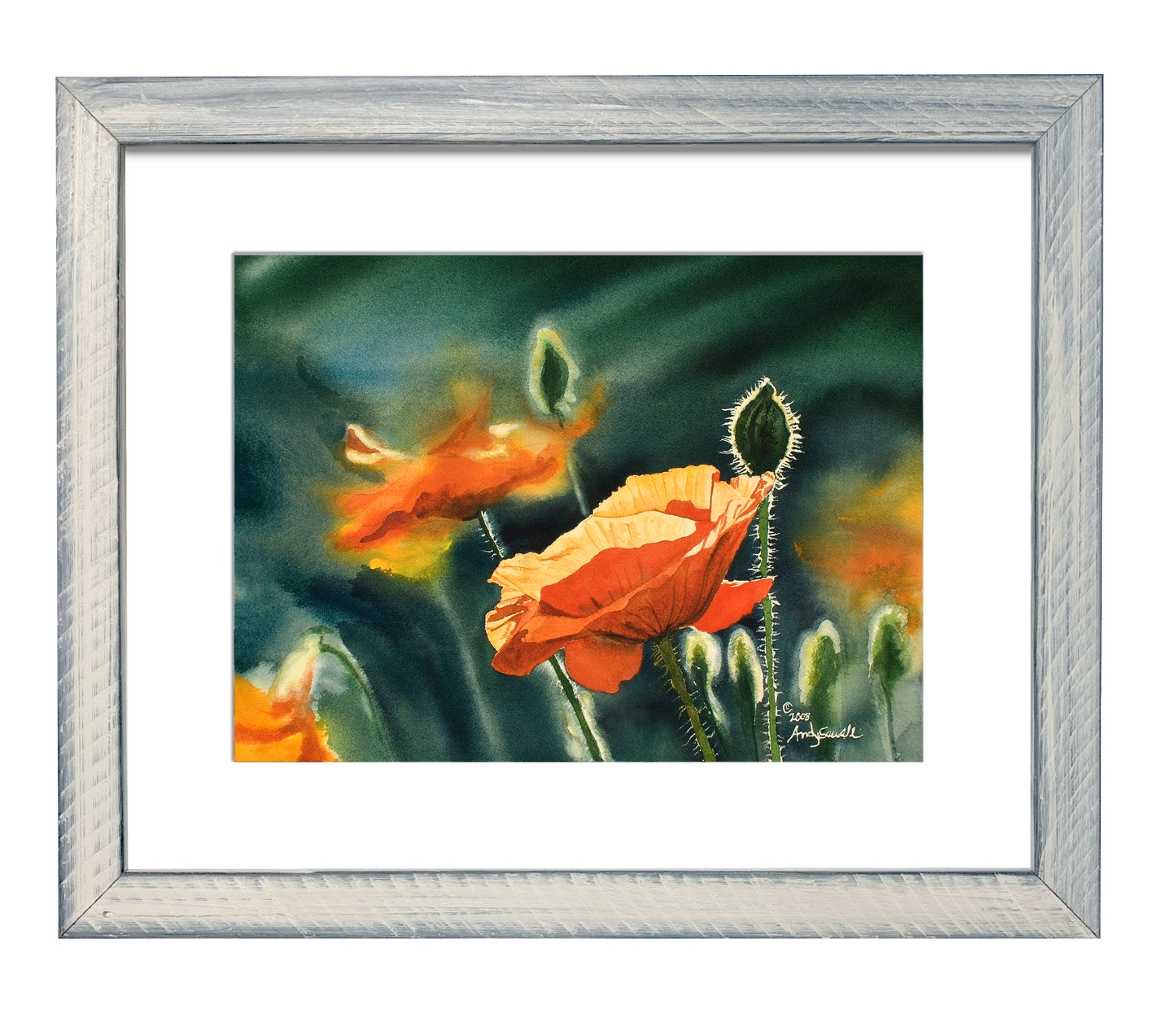 "Poppy Evening" Orange Poppy wall Art Print - A ltd. ed. s/n Giclee art print from a watercolor of poppies in the sun