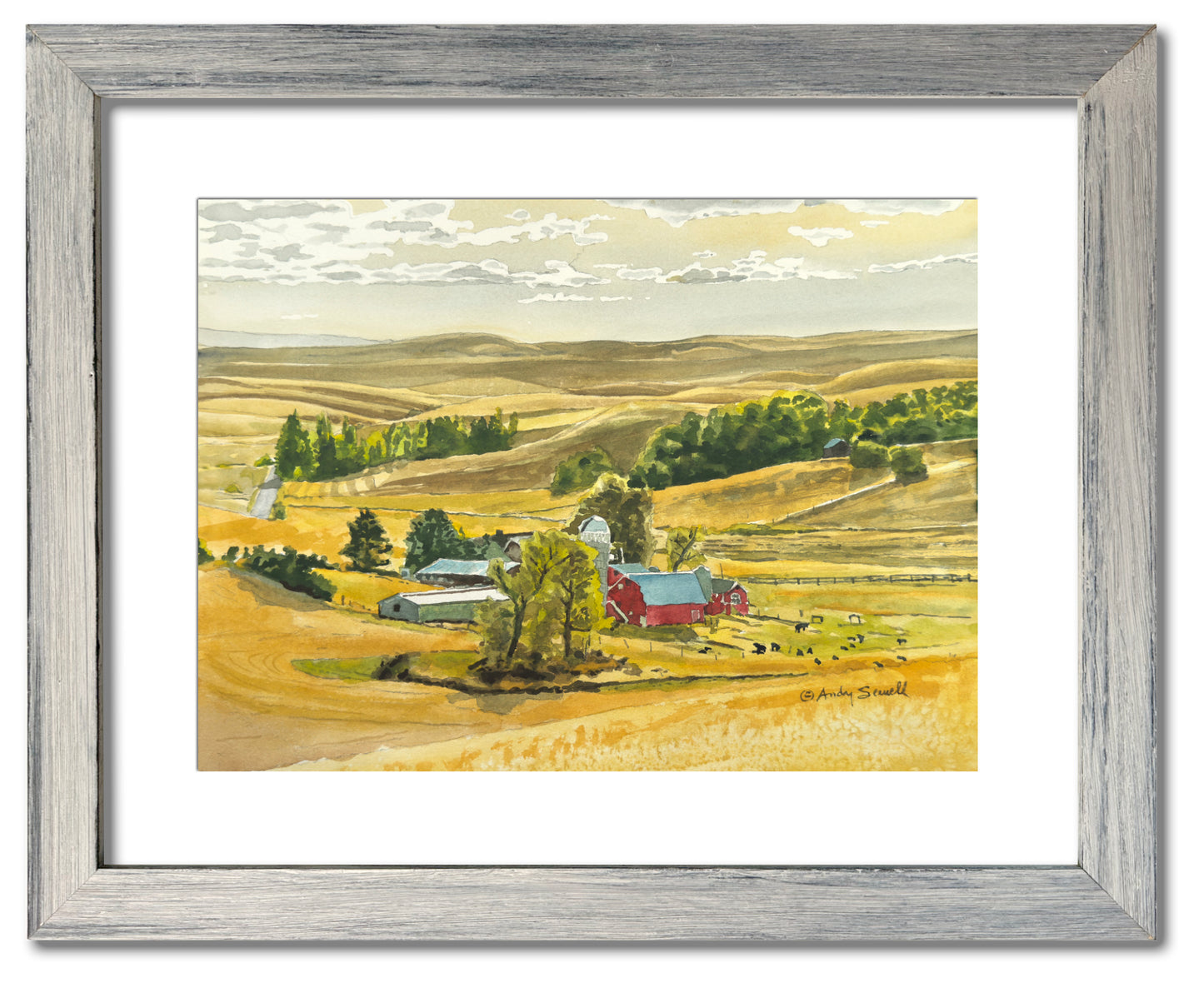 "Red Barn Black Cows" - 12"x16"  giclee prints from watercolor, framed in 16x20