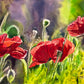 "Red Poppy Trio" - 16"x 27" an Original watercolor or Giclée signed Giclee print.