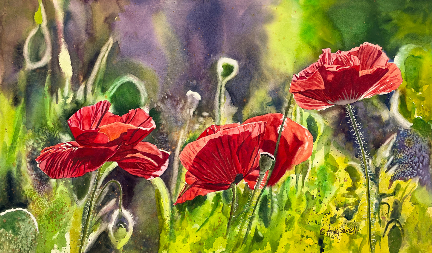 "Red Poppy Trio" - 16"x 27" an Original watercolor or Giclée signed Giclee print.
