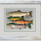 "School Colors" - Ltd. Ed. (400) paper/canvas Giclée art print of a watercolor of the grand slam of trout!