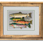 "School Colors" - Ltd. Ed. (400) paper/canvas Giclée art print of a watercolor of the grand slam of trout!