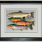 "School Colors" - Ltd. Ed. (400) paper/canvas Giclée art print of a watercolor of the grand slam of trout!
