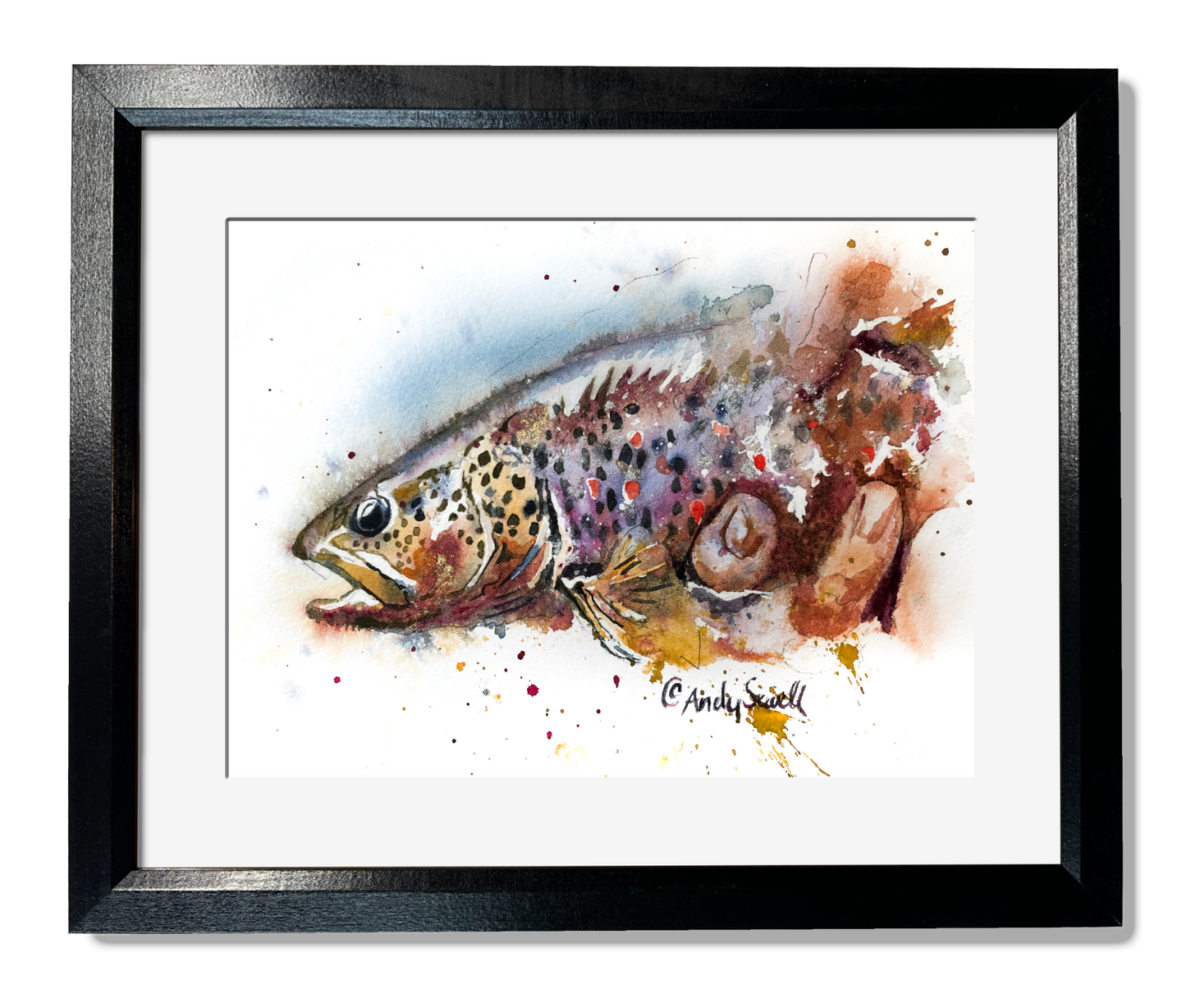 "Brown Splashes" - signed giclee art print, Brown Trout wall art