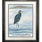 "Spike the Heron" - 14"x17" Original Watercolor or Giclée art print