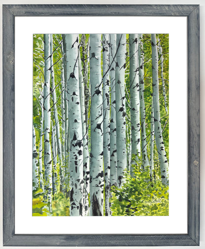 "Spring Aspens", - 18"x24" Original watercolor or Open ed. Giclée of Idaho's Aspen Trees in the Summer
