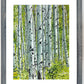 "Spring Aspens", - 18"x24" Original watercolor or Open ed. Giclée of Idaho's Aspen Trees in the Summer