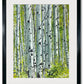 "Spring Aspens", - 18"x24" Original watercolor or Open ed. Giclée of Idaho's Aspen Trees in the Summer