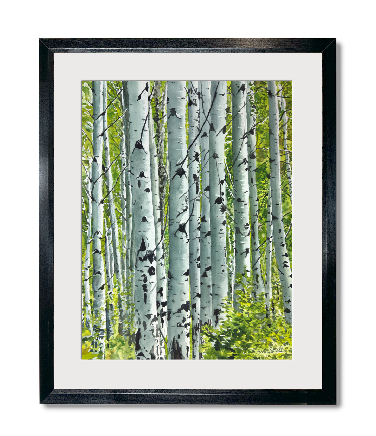 "Spring Aspens", - 18"x24" Original watercolor or Open ed. Giclée of Idaho's Aspen Trees in the Summer