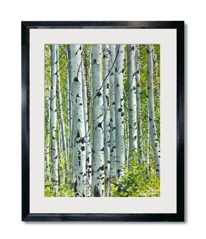 "Spring Aspens", - 18"x24" Original watercolor or Open ed. Giclée of Idaho's Aspen Trees in the Summer
