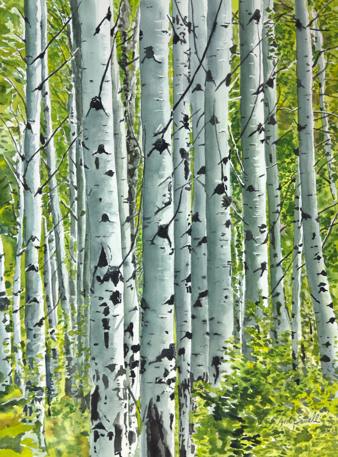 "Spring Aspens", - 18"x24" Original watercolor or Open ed. Giclée of Idaho's Aspen Trees in the Summer