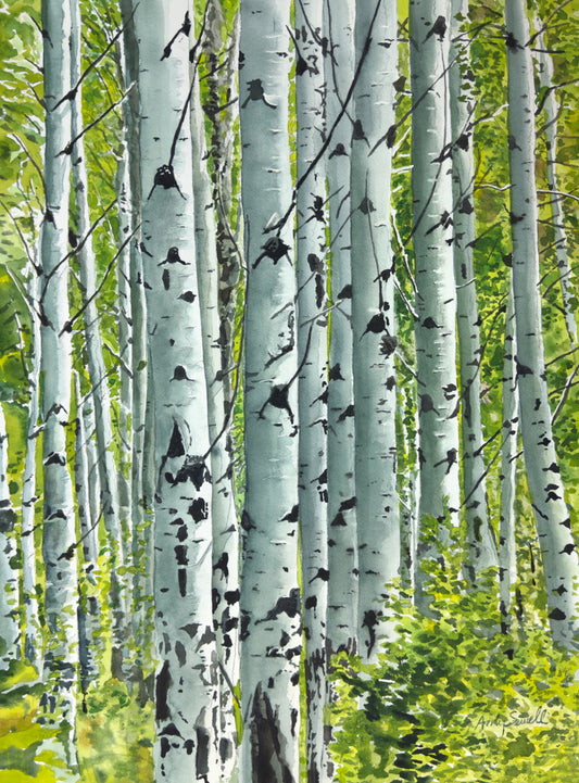 "Spring Aspens", - 18"x24" Original watercolor or Open ed. Giclée of Idaho's Aspen Trees in the Summer