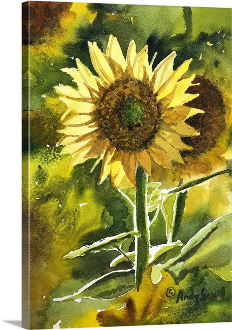 "Sunflower Sunshine" Original 7x10 or framed 11x14 watercolor or giclee print
