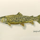 "Tiger Trout" - 11x15 Original Watercolor or signed edition paper/canvas Giclée art print.