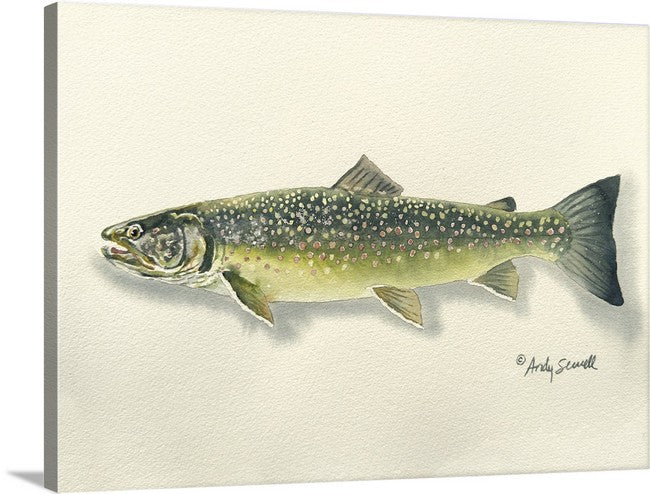 "Bull Trout" - 11x15 Original Watercolor or signed edition paper/canvas Giclée art print.