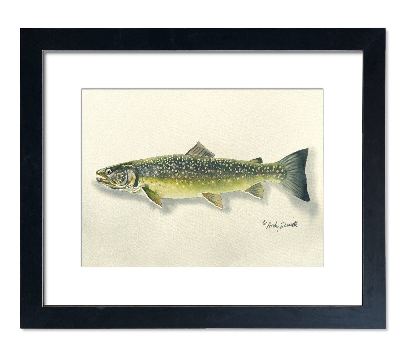 "Bull Trout" - 11x15 Original Watercolor or signed edition paper/canvas Giclée art print.