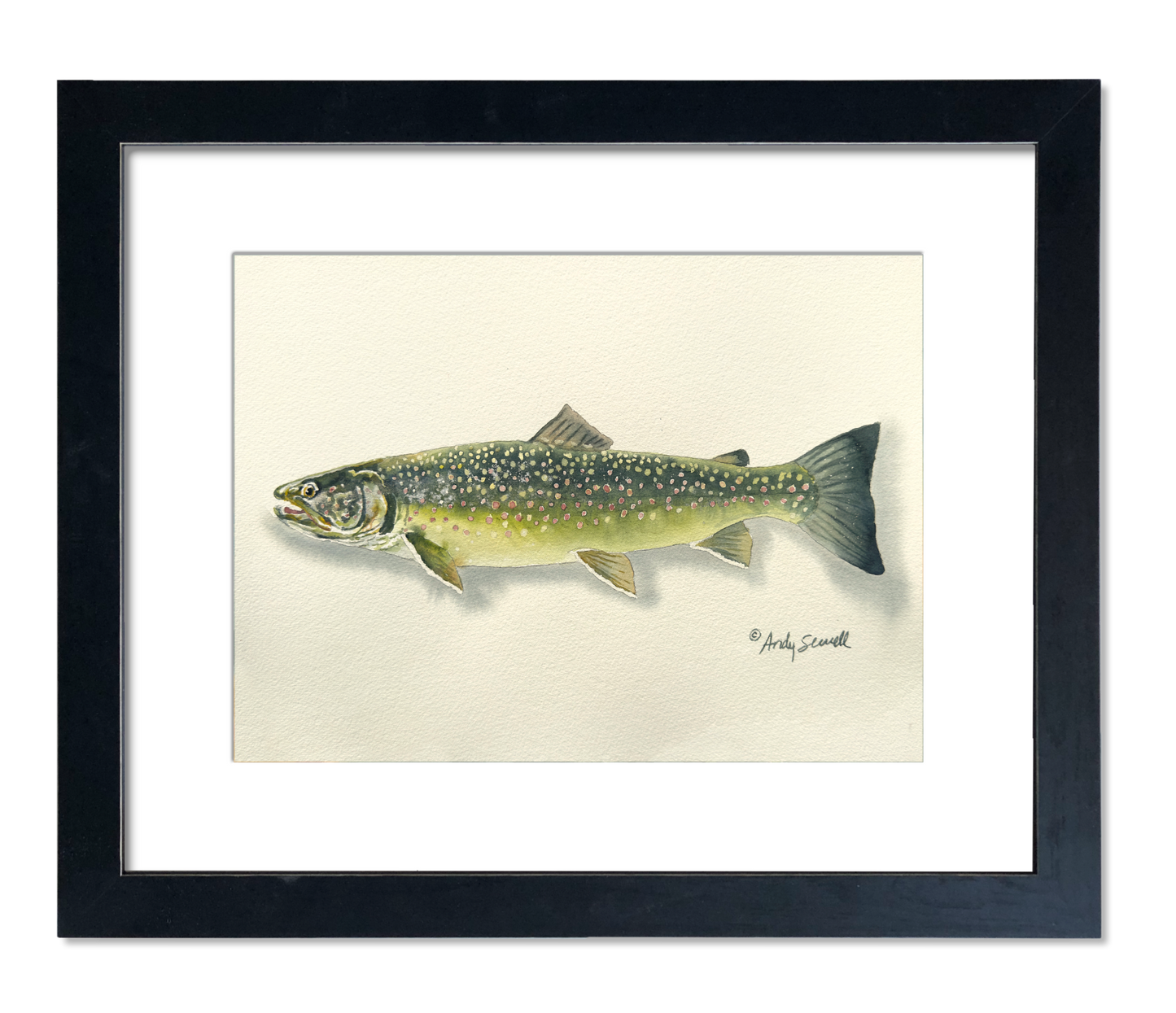 "Bull Trout" - 11x15 Original Watercolor or signed edition paper/canvas Giclée art print.