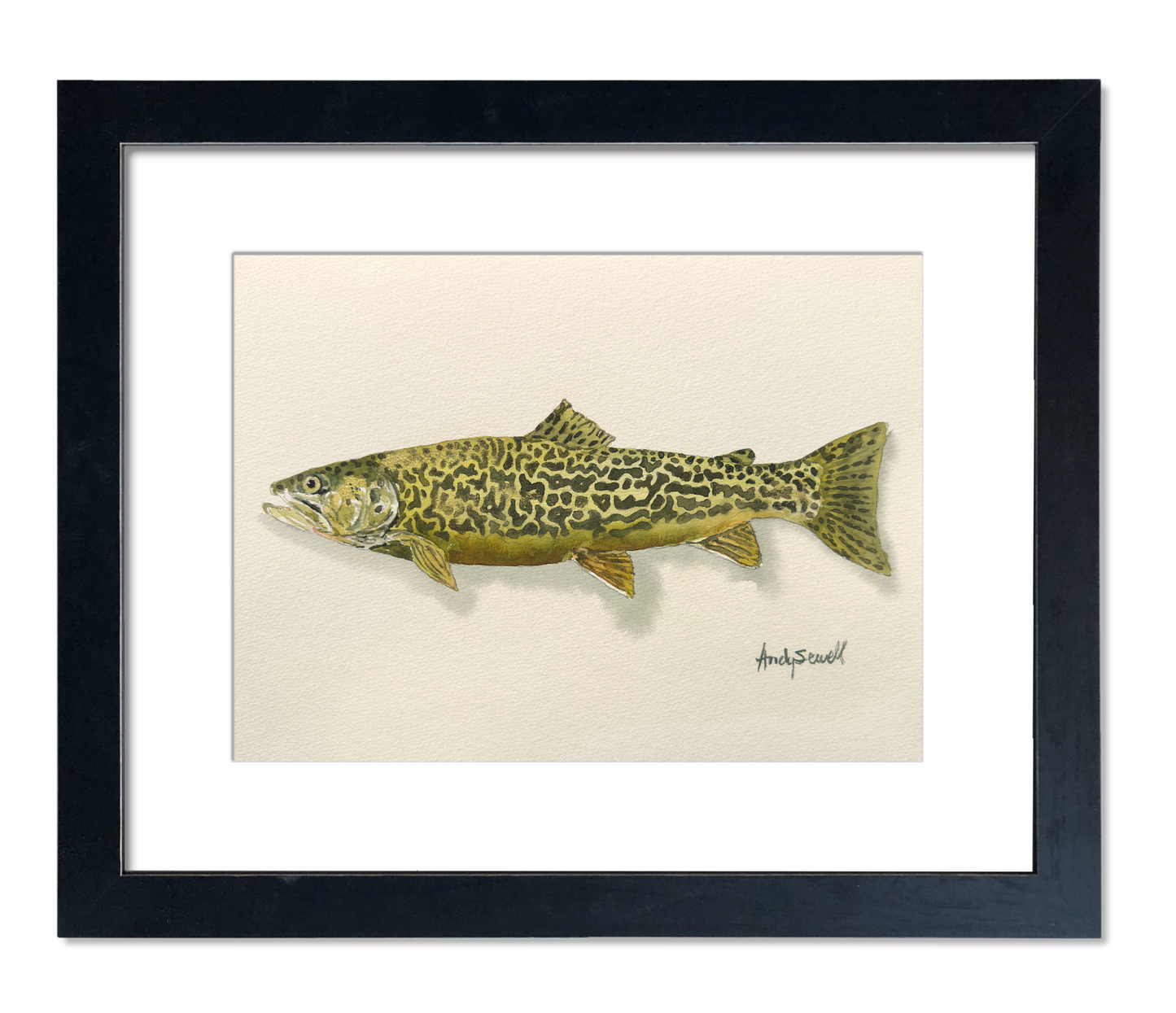 "Tiger Trout" - 11x15 Original Watercolor or signed edition paper/canvas Giclée art print.