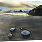 "Two Bits and a Dollar" signed edition Giclee Reprod. of watercolor with sand dollars on the West Coast.