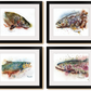 "Rainbow Splashes" - original watercolor or print, Rainbow Trout wall art