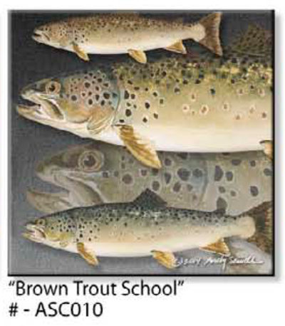 ASC010 "Brown Trout School" ceramic coaster