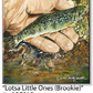 ASC015 "Lotsa Little Ones (Brookie)" ceramic coaster