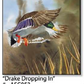 ASC053 "Drake Dropping In" ceramic coaster