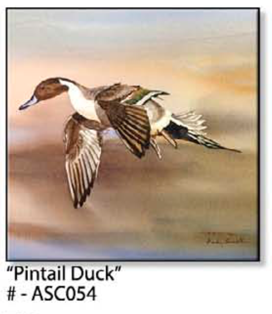 ASC054 "Pintail Duck" ceramic coaster