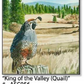 ASC056 "King of the Valley" quail ceramic coaster