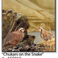 ASC057 "Chukars on the Snake" ceramic coaster