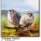 ASC059 "Chukar Twins" ceramic coaster